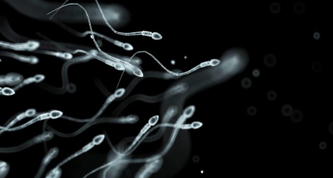 Un superdonante de semen con más de 100 hijos asombra a Holanda