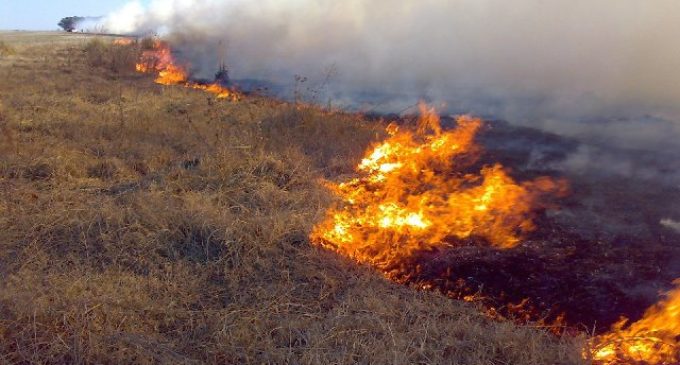 Buscan reducir cantidad de siniestros en campos con “Teledetección de Incendios”