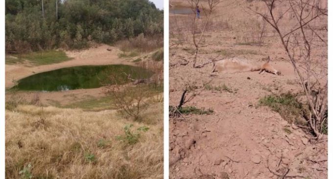 Comisión del Pilcomayo justifica sequía del río: “No se trabajó durante 20 años”