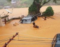 Más de 400 muertos y cientos de desaparecidos por deslaves causados por fuertes lluvias en Sierra Leona