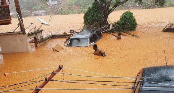 Más de 400 muertos y cientos de desaparecidos por deslaves causados por fuertes lluvias en Sierra Leona