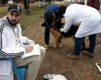 Unos 2.700 animales vacunados contra la rabia en San Juan