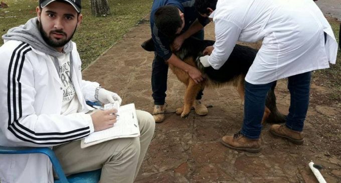 Unos 2.700 animales vacunados contra la rabia en San Juan