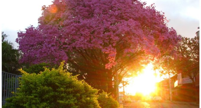 Calurosa bienvenida a la primavera