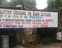 La senadora Blanca Fonseca demandará a gomero “por manchar su dignidad”
