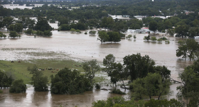Aumenta a 46 la cifra de muertos por Harvey, una semana después de llegar a Texas