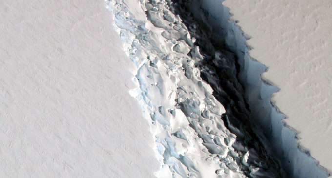 Descubren un vasto ecosistema oculto por más de cien mil años tras quiebre de un iceberg