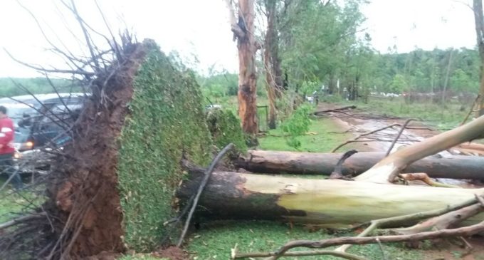 Vientos de hasta 137 km/h se registraron durante el temporal de ayer en Caaguazú