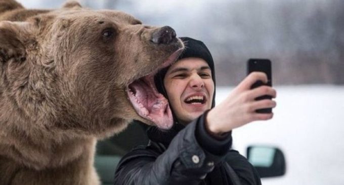 Selfies con animales, un nuevo tema a debatir