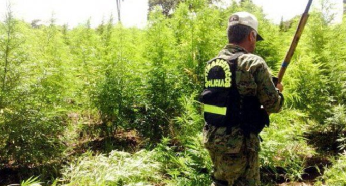 10 años de prisión para jóvenes narcos