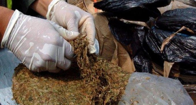 10 años de cárcel para un hombre que traficaba drogas