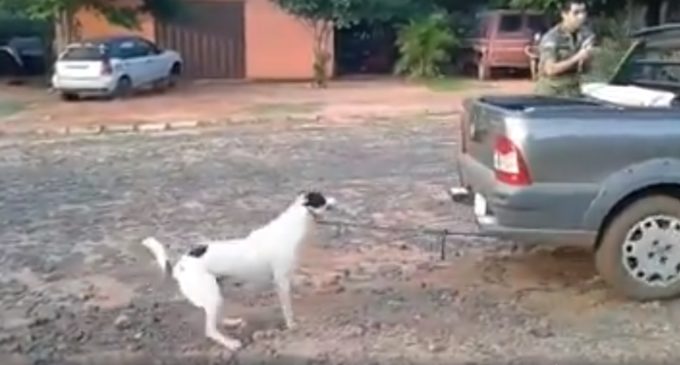 Arrastró con su camioneta a un perro hasta matarlo