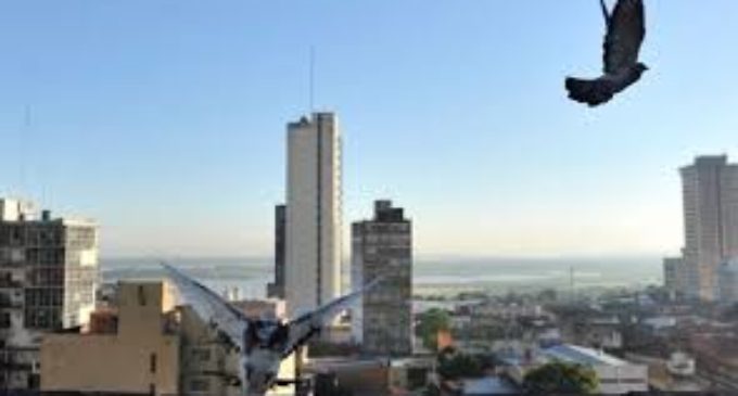 Pronostican lunes soleado y agradable
