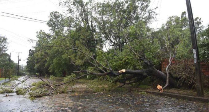 Miles de usuarios quedaron sin energía eléctrica a raíz del temporal