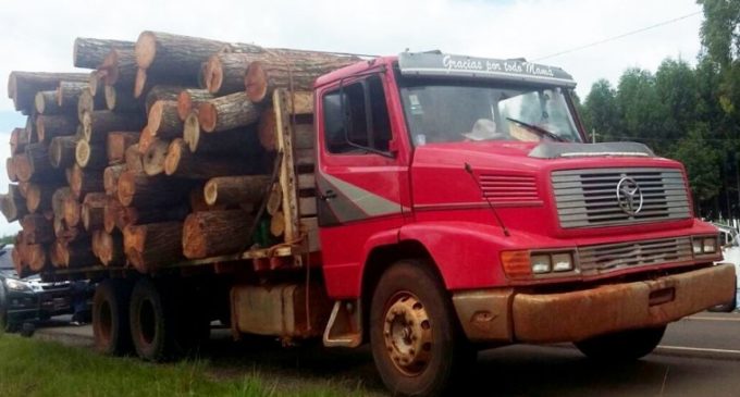 “Tenemos deforestaciones ilegales que cuentan con protección de autoridades”