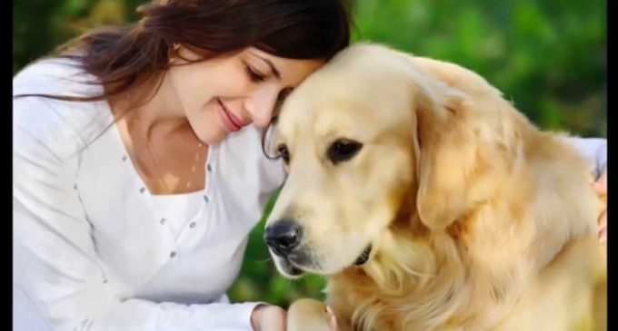 Quieren crear aparato que traduzca lenguaje canino