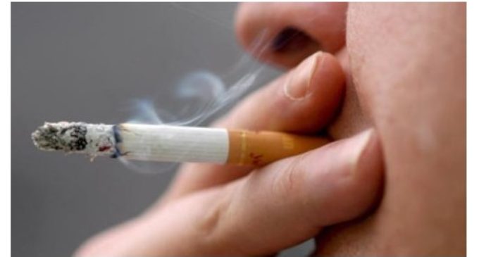 Impuesto al tabaco: “El objetivo es evitar más enfermedades y muertes a causa de cigarrillos”, afirma senadora