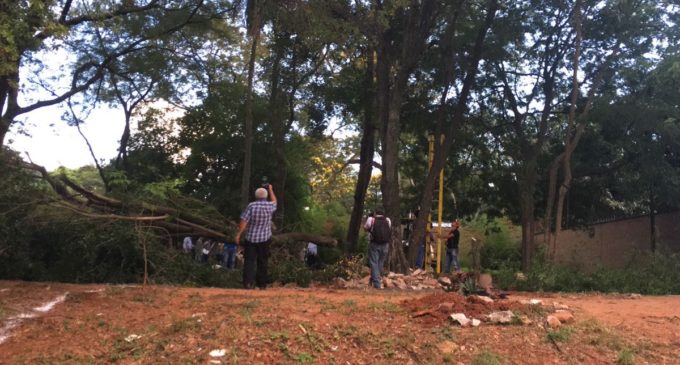 Parque Pavetti: Herederos piden respeto y que su lote “no se toque”