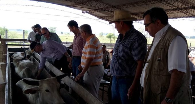 Senacsa cierra el año con un aumento en la exportación de carne y disminución de infectados de brucelosis