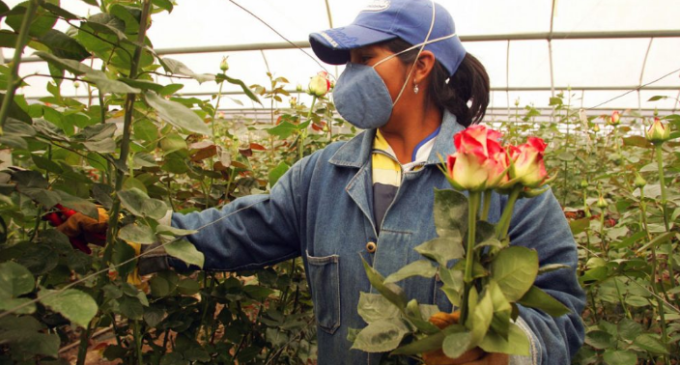 Oportunidad laboral en florerías