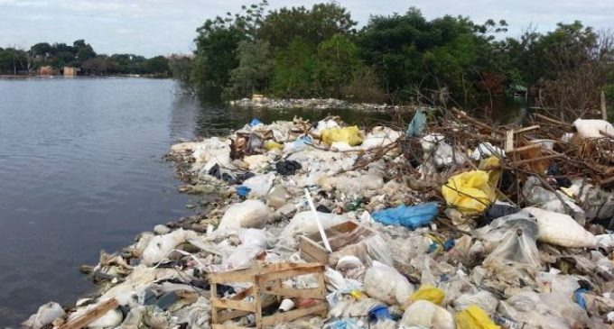 Cantidad de residuos de plásticos superará al número de peces en el mar