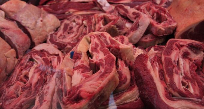 Aumento de gasoil no generará suba de precios de la carne, garantizan