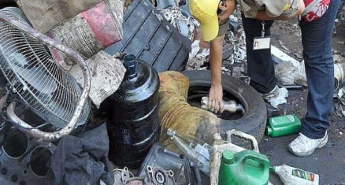 Piden a la ciudadanía no bajar la guardia contra dengue ante descenso de temperaturas