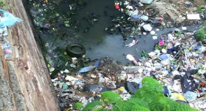 Un fallecido más y 83 nuevos casos de dengue
