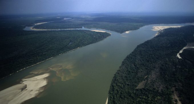 Revelan una civilización perdida en la Amazonia