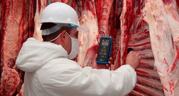 Cuatro frigoríficos fueron suspendidos para exportar carne a Chile