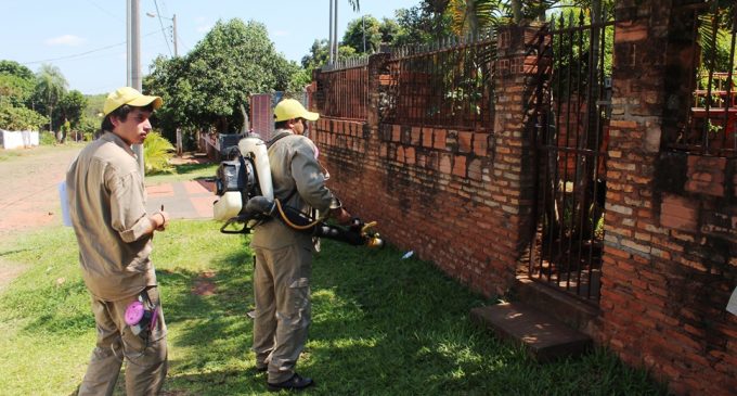MEC planea fumigar zonas cercanas a instituciones educativas