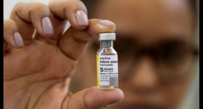 Quieren vacunar a todos los brasileros por la fiebre amarilla
