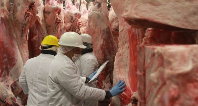 Frigoríficos exportan nuevamente a Chile