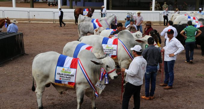 Este fin de semana culmina la 20ª Expo Canindeyú