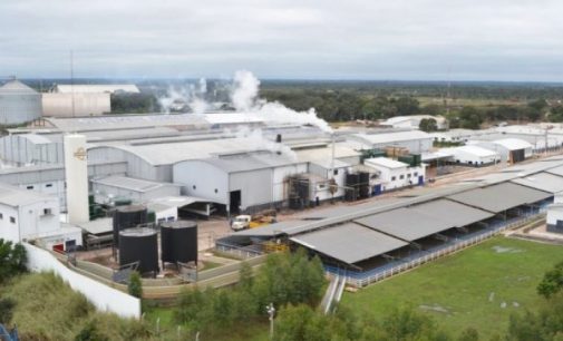 Denuncian que planta de frigorífico opera con total irregularidad en Asunción