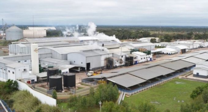 Denuncian que planta de frigorífico opera con total irregularidad en Asunción