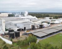 Caso Frigorífico Concepción: Levantaron suspensión de exportación