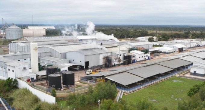 Caso Frigorífico Concepción: Levantaron suspensión de exportación