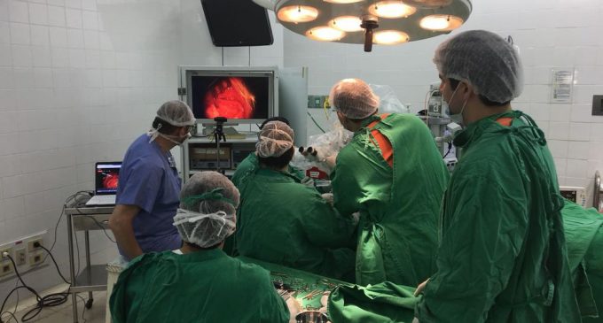 Cirugías de implante coclear, esperanzas para niños y adultos