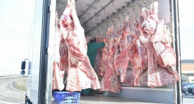 Caso contrabando de carne: Levantan suspensiones de importación y exportación a Frigonorte