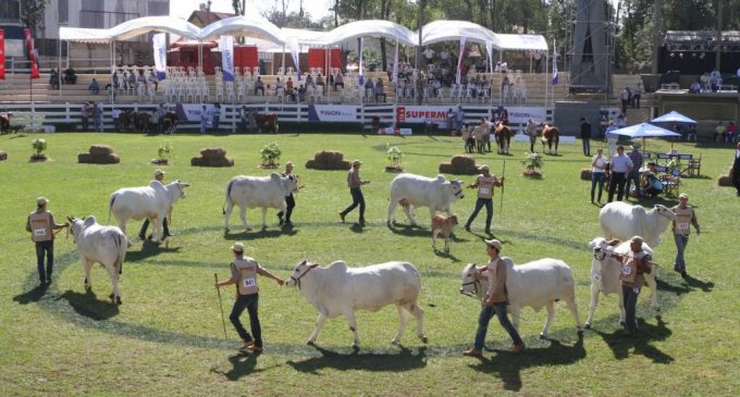 Negocios: Empresarios brasileros fueron mayoría en la Expo
