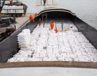 Paraguay comenzó a exportar arroz a Irak
