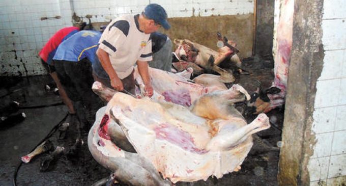 Carne debe proceder de mataderos habilitados, advierte SENACSA