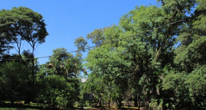 Anuncian domingo frío pero soleado