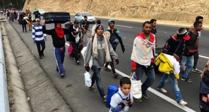ONU insta a Perú y Ecuador a permitir entrada de venezolanos