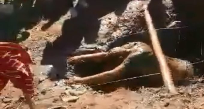 Dos estudiantes intoxicados durante “bautismo” en la UNA