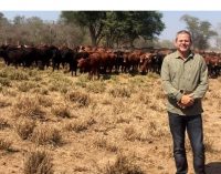 Messer no se entregará “si no tiene garantías”