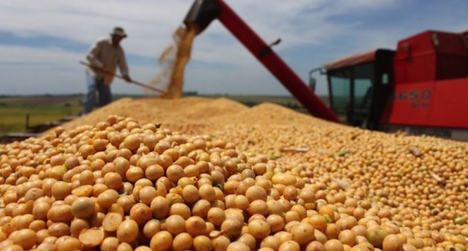 Gobierno evalúa reforma tributaria con enfoque en productores agrícolas y pecuarios