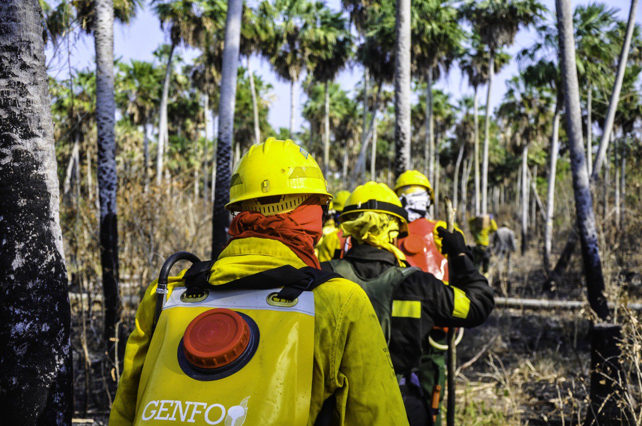 Focos de incendio en Bahía Negra van extinguiéndose, según MADES