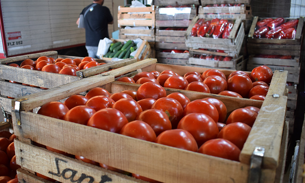 Crisis política causó caída estrepitosa de precios internacionales de productos, según Coordinadora Agrícola